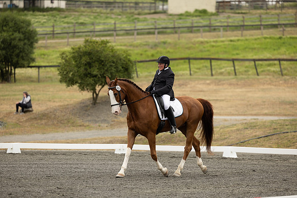 FFDressage23-00085