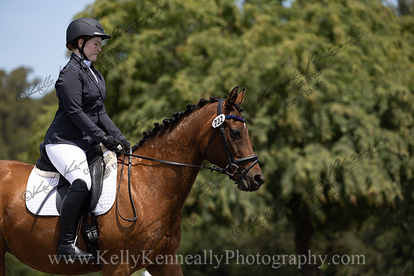FFDressage23-00157