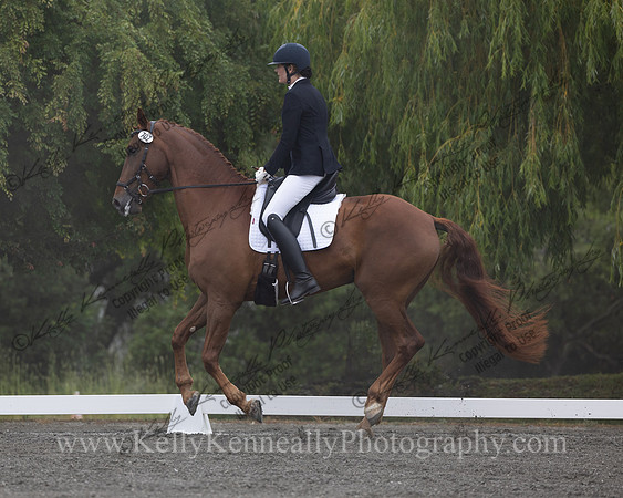 FFDressage23-0237