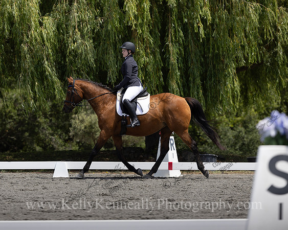 FFDressage23-00158