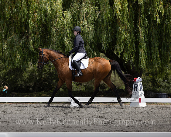 FFDressage23-00159