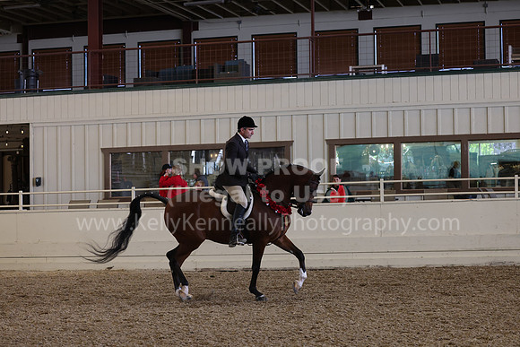 AHANC23_Thurs_2275