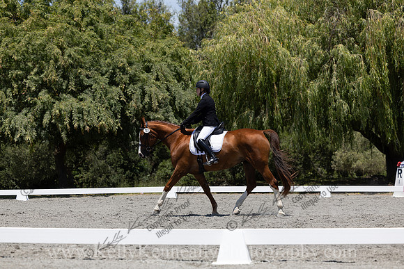 FFDressage23-00243