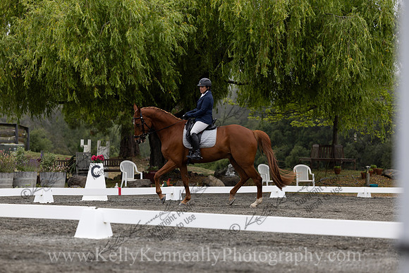 FFDressage23-0972