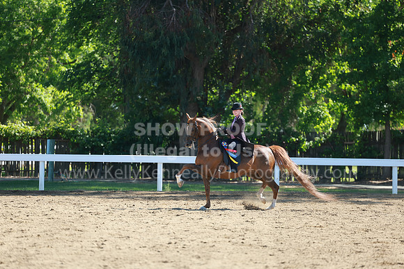 DAHA23_Sun_8635