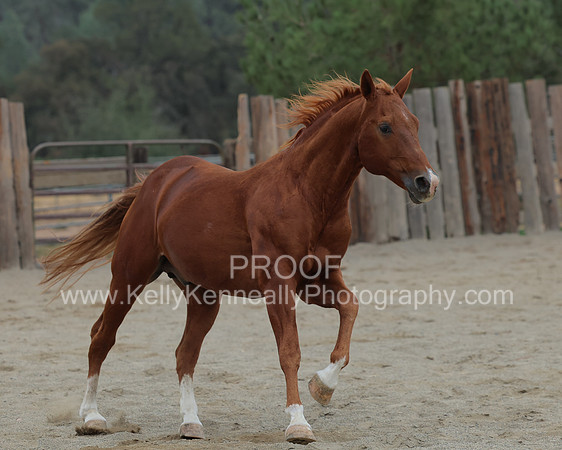 DocFall26_5035
