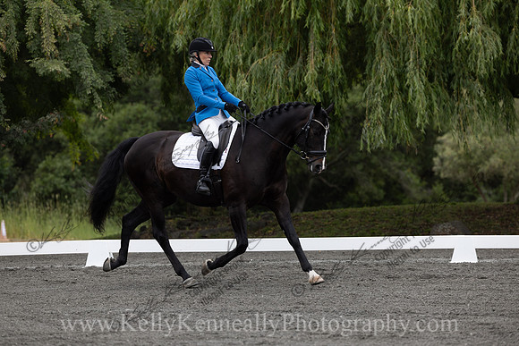 FFDressage23-00061