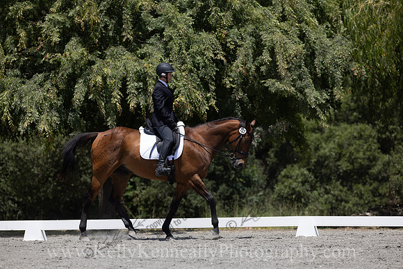 FFDressage23-3518