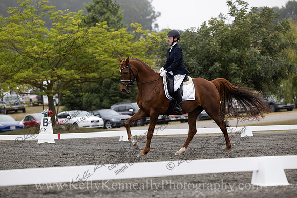 FFDressage23-0814