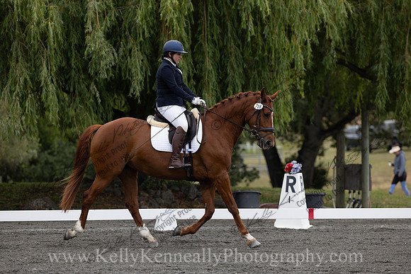FFDressage23-00077