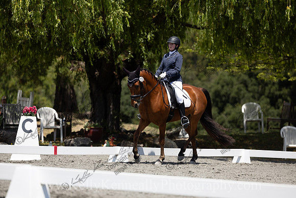 FFDressage23-00186