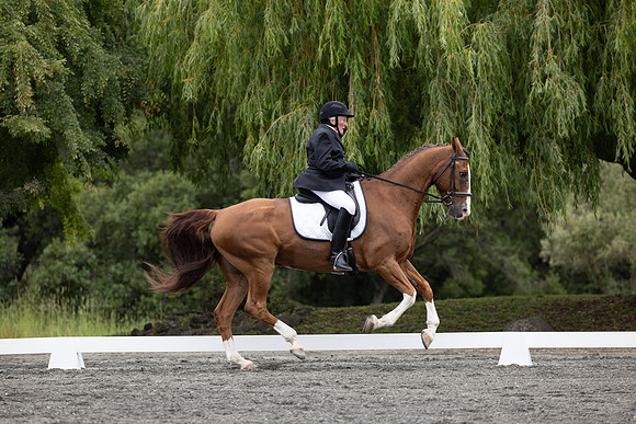 FFDressage23-1900