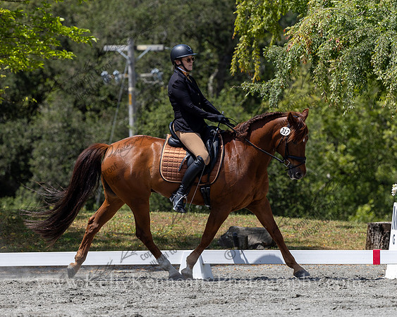 FFDressage23-4869