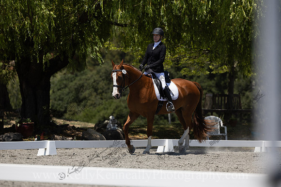 FFDressage23-00251