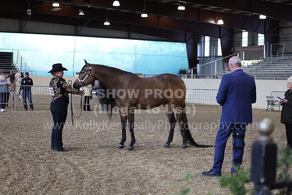 AHANC23_Wed_2821