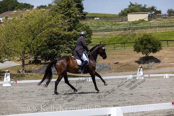FFDressage23-5778