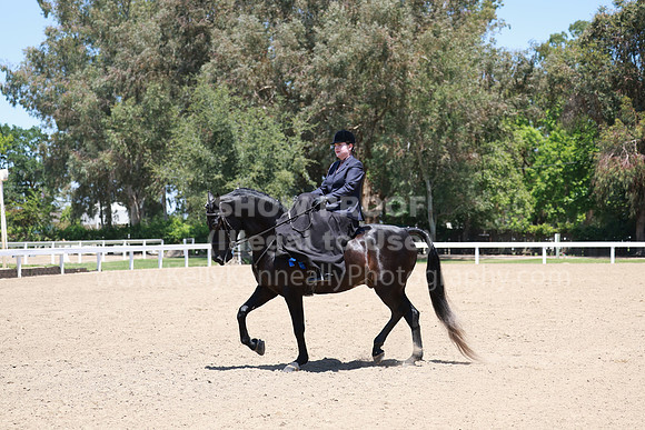 DAHA23_Fri_1468