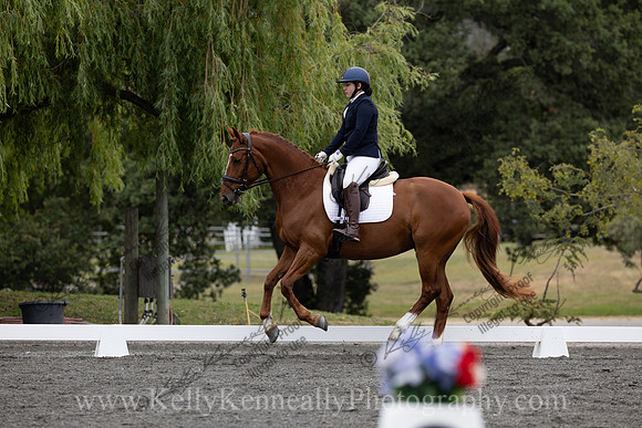 FFDressage23-00082