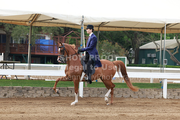 DAHA23_Sun_7410