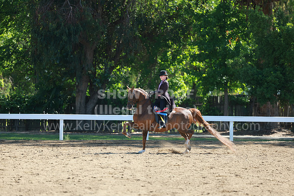 DAHA23_Sun_8624
