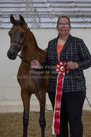 PacSlopeCh23_Fri_7295