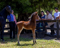 ShermanRanch0524_3307
