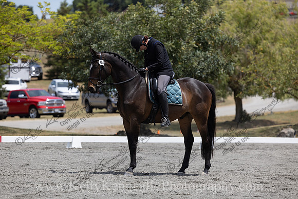 FFDressage23-2814