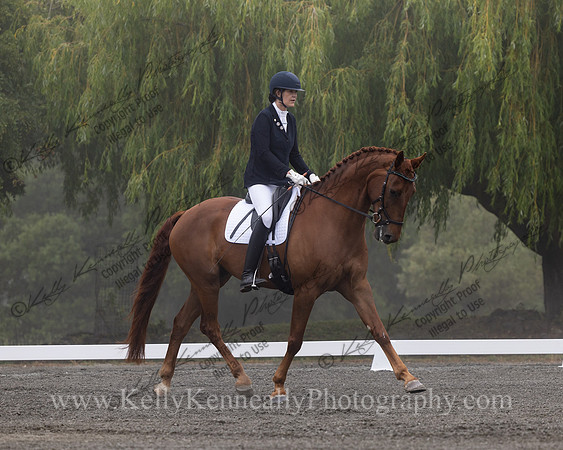 FFDressage23-0095