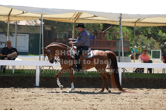 DAHA23_Sun_8995