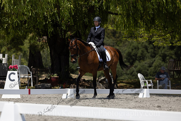 FFDressage23-3657