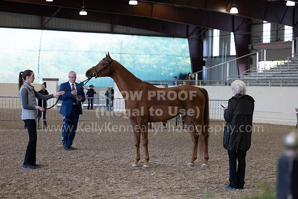 AHANC23_Wed_2757