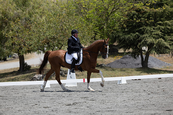 FFDressage23-3349