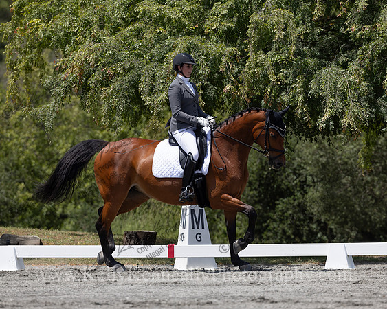 FFDressage23-4256