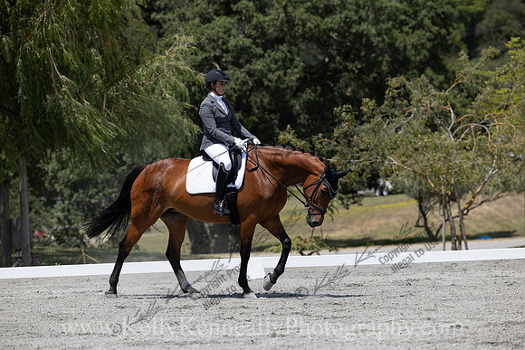 FFDressage23-4339
