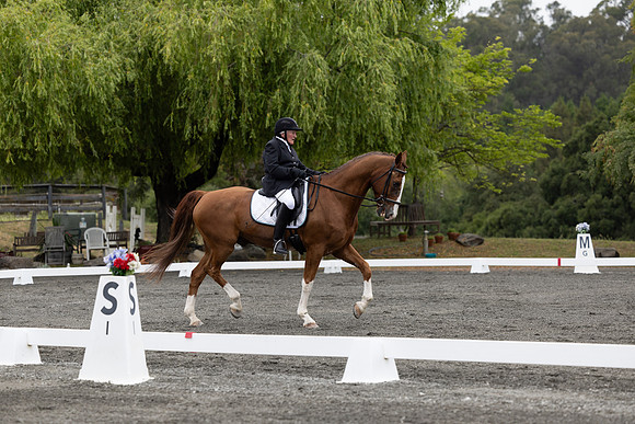 FFDressage23-00086