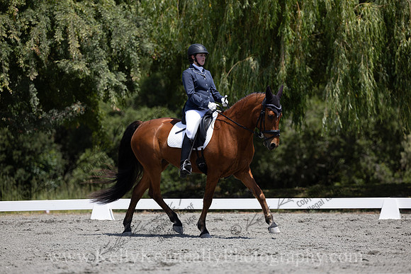 FFDressage23-00181