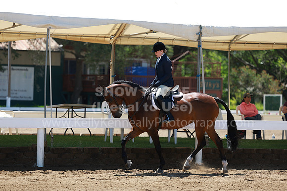 DAHA23_Sun_8925