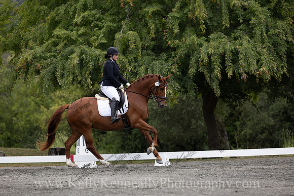 FFDressage23-1447