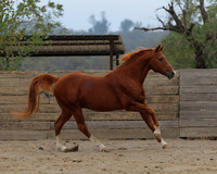 DocFall26_4712