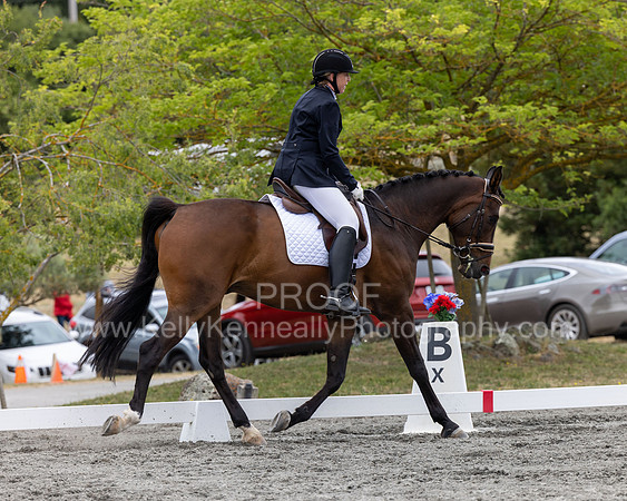 KalypsosKrownRoyal22-3504