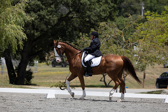 FFDressage23-3262
