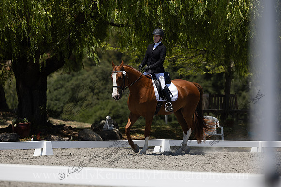 FFDressage23-00250
