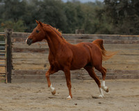 DocFall26_4451