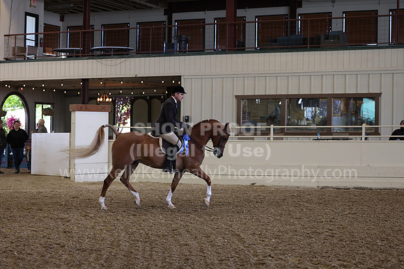 AHANC23_Wed_0417