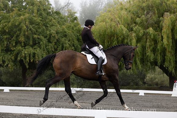 FFDressage23-0504