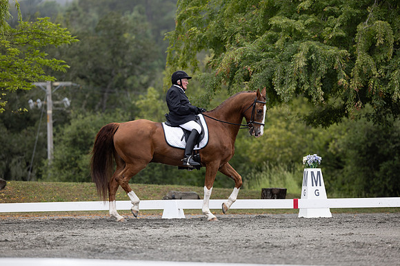 FFDressage23-1576