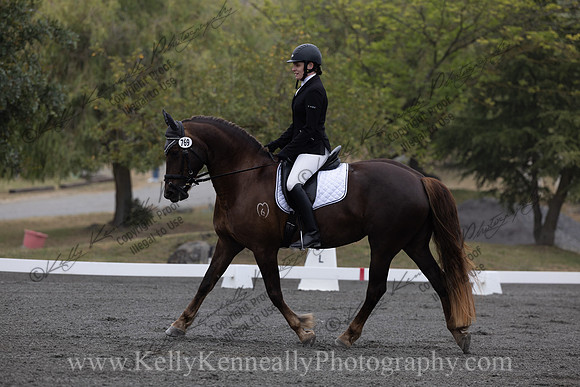 FFDressage23-00026