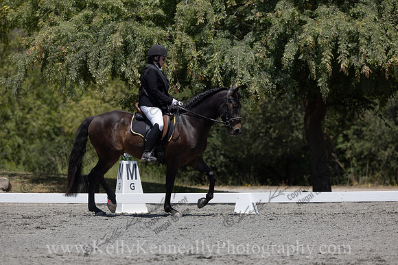 FFDressage23-00203