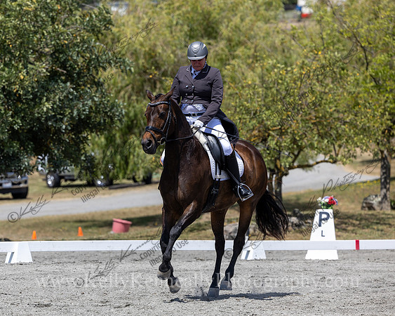 FFDressage23-5848