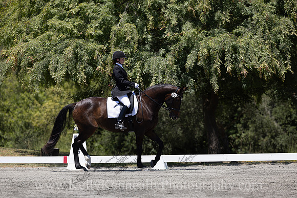 FFDressage23-00256